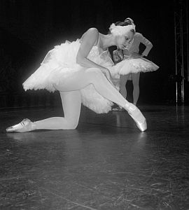 Никифорова Элина Боди-балет Школа танцев Vesta